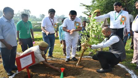 Minister of State for Coal Satish Chandra Dubey planted tree at Mandro Fossil Park in Godda Sahibganj border