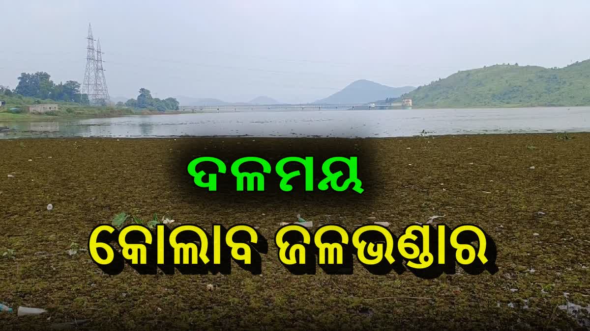 ରକ୍ଷଣାବେକ୍ଷଣର ଅଭାବ, କୋଲାବ ଜଳଭଣ୍ଡାର ଏବେ ଦଳ ଭଣ୍ଡାର !