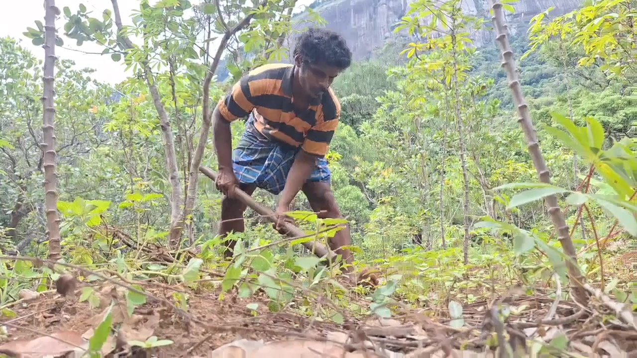 Blind Man Farming