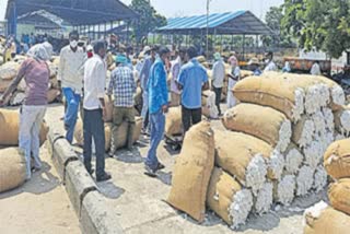 Cotton Farmers Problems Telangana 2023
