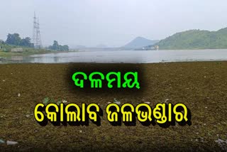 ରକ୍ଷଣାବେକ୍ଷଣର ଅଭାବ, କୋଲାବ ଜଳଭଣ୍ଡାର ଏବେ ଦଳ ଭଣ୍ଡାର !