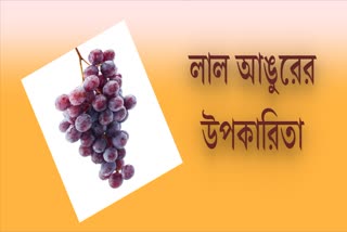 Red Grapes for Health News