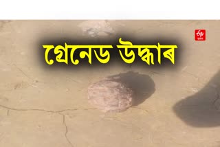 Grenade Recovered at Pengeri in Tinsukia