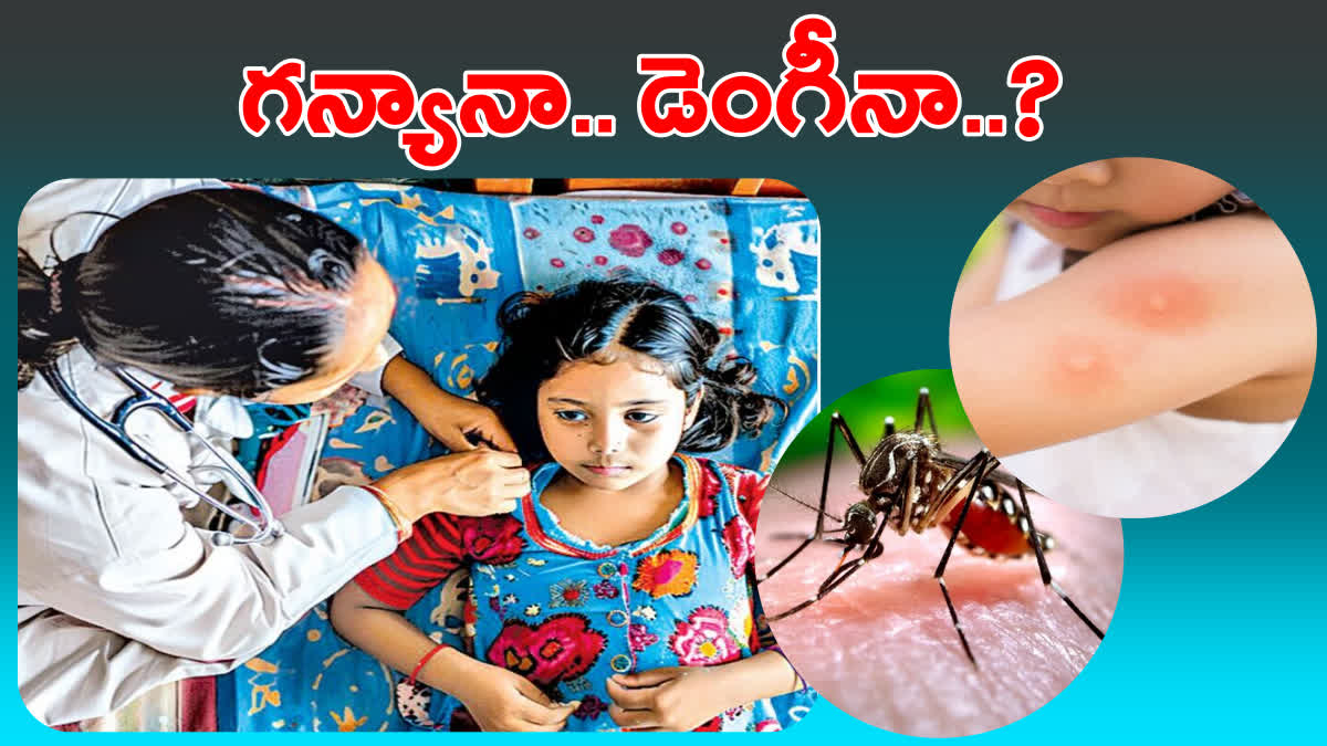 VIRAL FEVER CASES RISES IN HYD