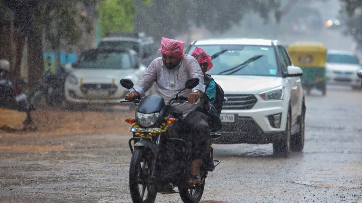 The district Collector announced a holiday for schools in Bengaluru amid heavy rains, urging safety measures for students and highlighting the IMD's forecast for continued rainfall.