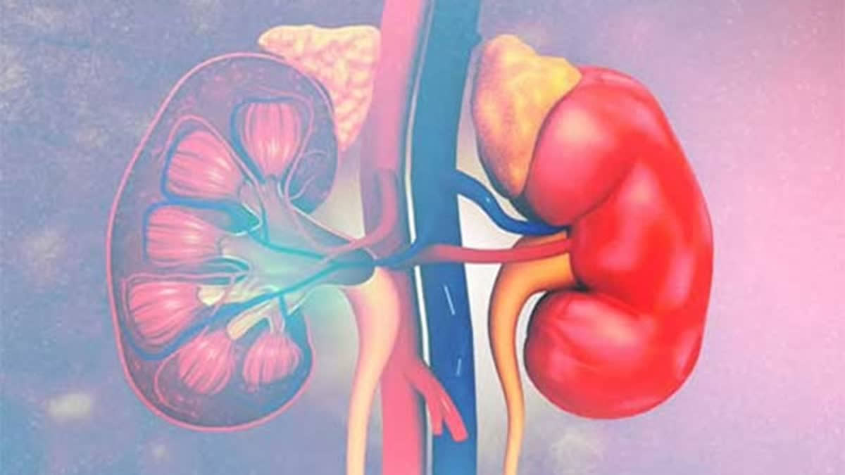 5 Early Signs That Your Kidneys Are At Risk And How You Can Prevent It