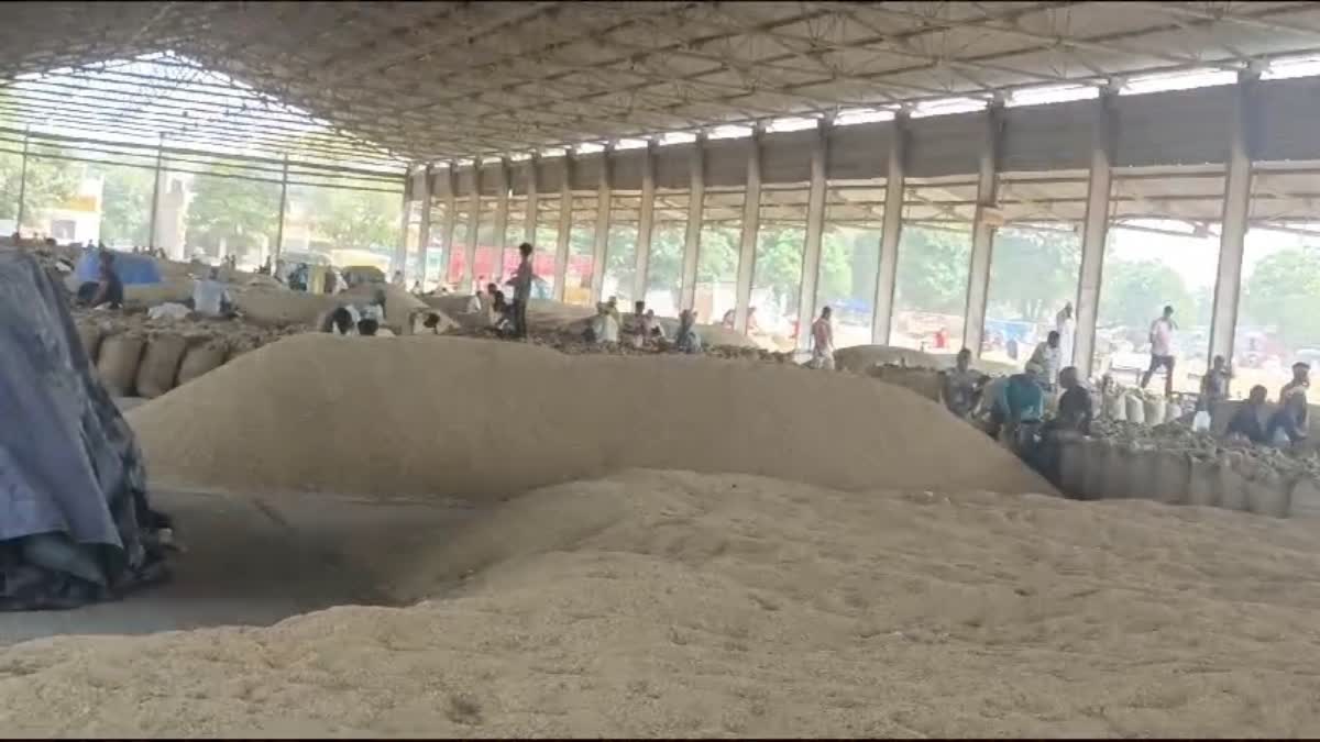 A grain market in Karnal