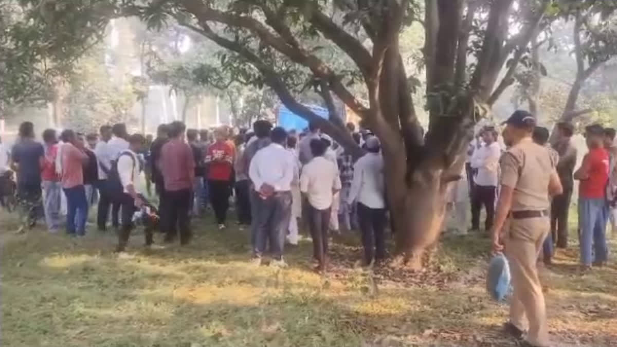 Youth Hanging From Tree Bhagwanpur