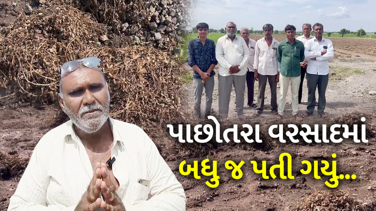 જામનગર પંથકના ખેડૂતોની હાલત કફોડી બની