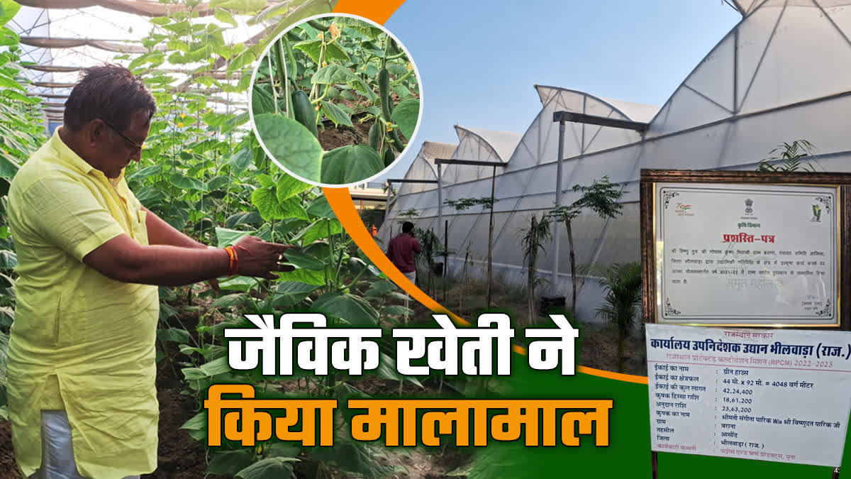 organic farming in rajasthan