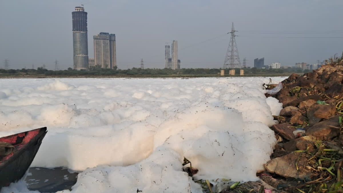 Delhi: Rs 6,856 Crore Spent To Remove Toxic Foam From River Yamuna, Yet It Remains Dirty