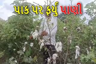 ખેડૂતોની મહેનત પર પાણી ફર્યું