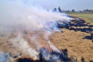 Fourteen farmers were arrested in Haryana for stubble-burning as pollution levels rise, with cases filed under the Air (Prevention and Control Of Pollution) Act.