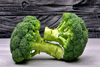 BROCCOLI HELPS TO MAINTAIN BLOOD SUGAR LEVELS AND HEALTH BENEFITS OF BROCCOLI