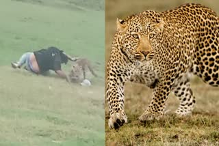 SHAHDOL LEOPARD ATTACK