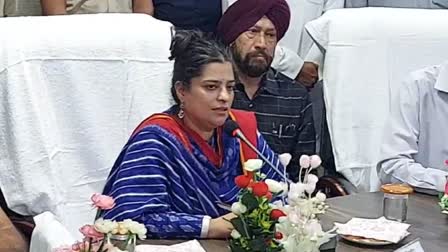 Haryana Minister Shruti Chaudhary