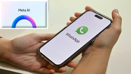 Whatsapp Chat Recording Feature