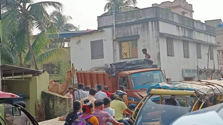 CAMEL RESCUED