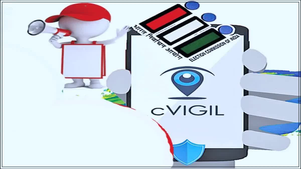 c vizil app