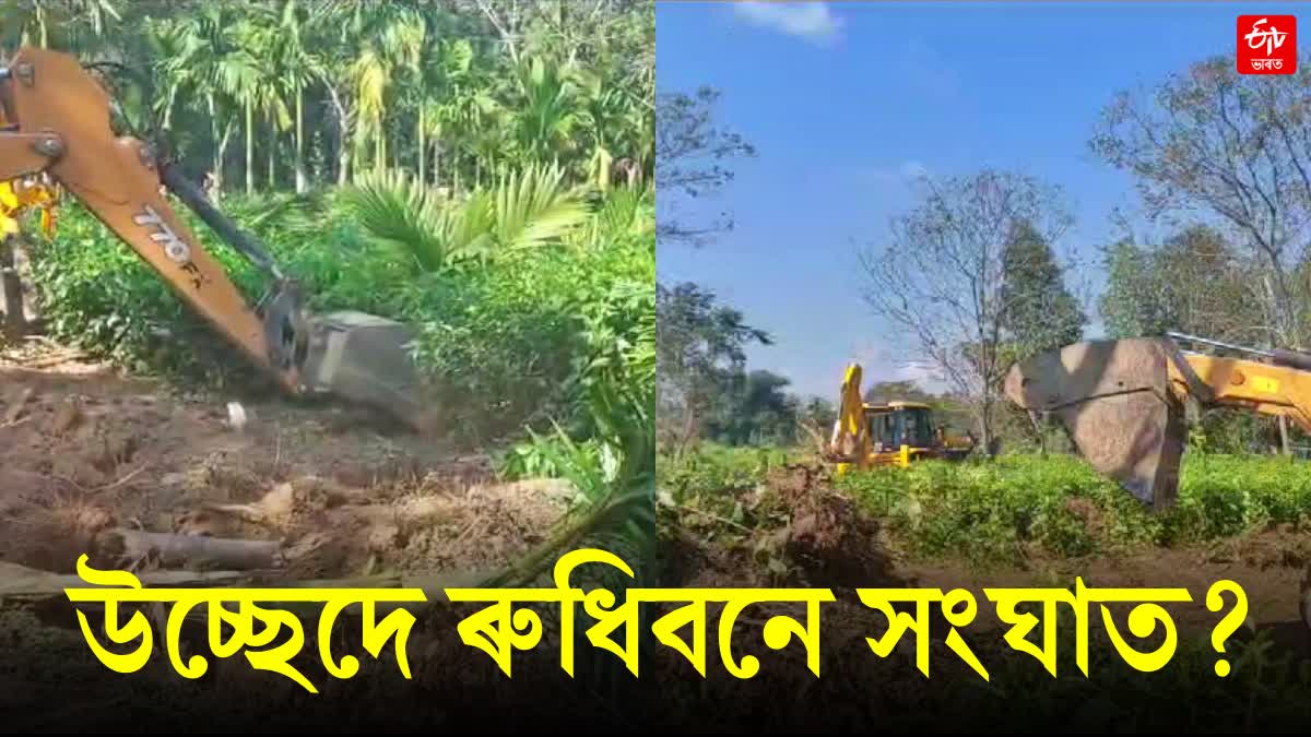 বন বিভাগৰ উচ্ছেদ অভিযান বন বিভাগৰ উচ্ছেদ অভিযান