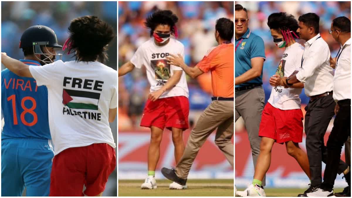 Palestine Supporter In Final