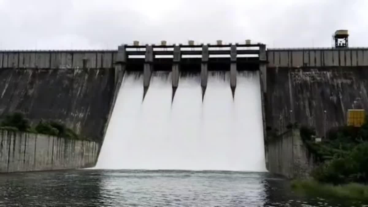 Jayakwadi Dam Water