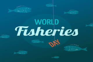 orld Fisheries Day is celebrated annually on November 21, which brings forth a global spotlight on the importance of fisheries, promoting sustainable practices vital to preserving marine ecosystems and supporting the livelihoods of millions worldwide depending on fisheries.