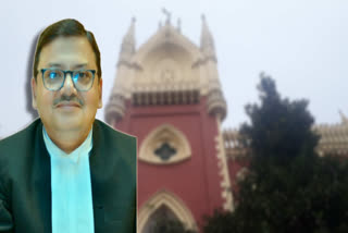 Justice Bibek Chaudhuri