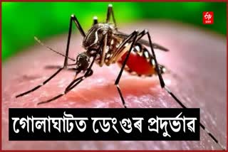 Dengue Cases alarmingly increases in Golaghat District