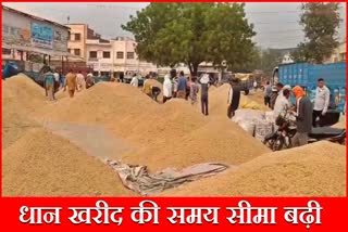 Paddy procurement deadline extended in Haryana