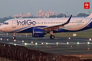 Indigo flight damaged