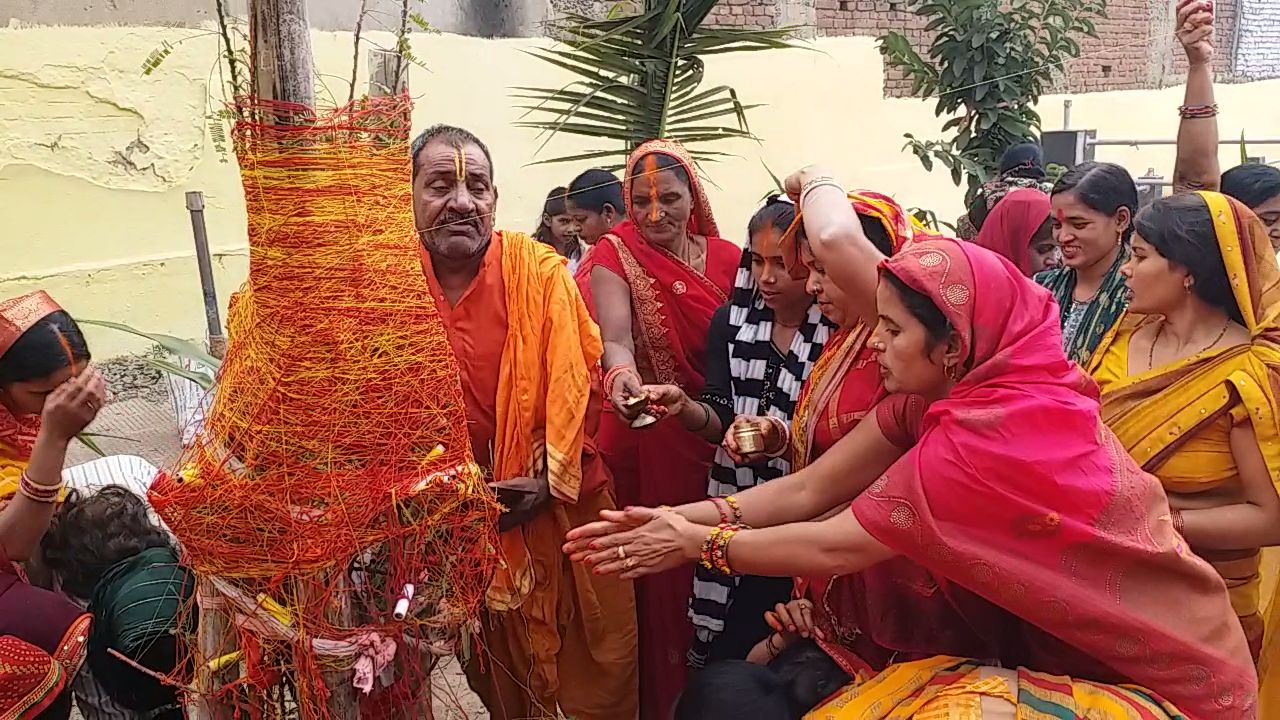 अक्षय नवमी पर आंवले के वृक्ष की पूजा