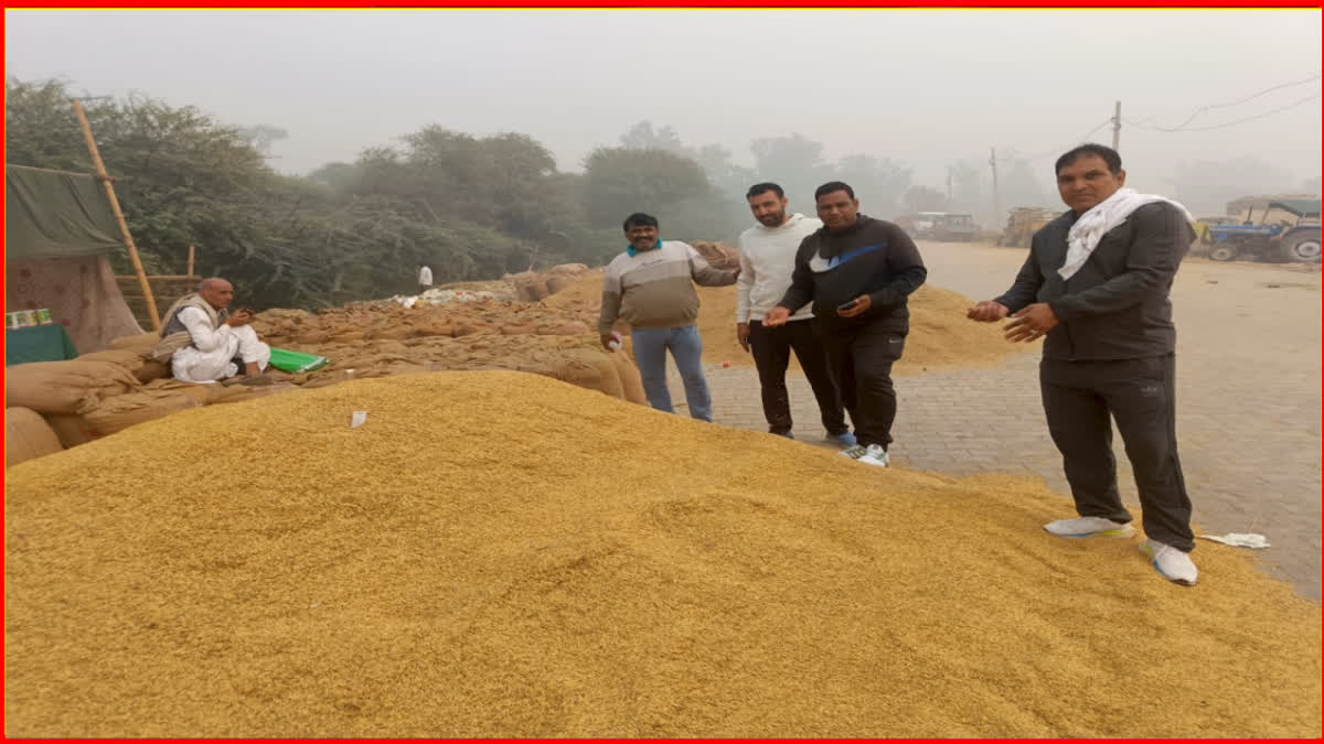 Julana New Grain Market in Jind