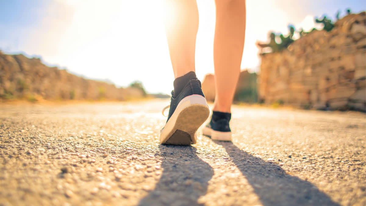 Know how the 6-6-6 walking rule will easily reduce weight and the risk of heart disease