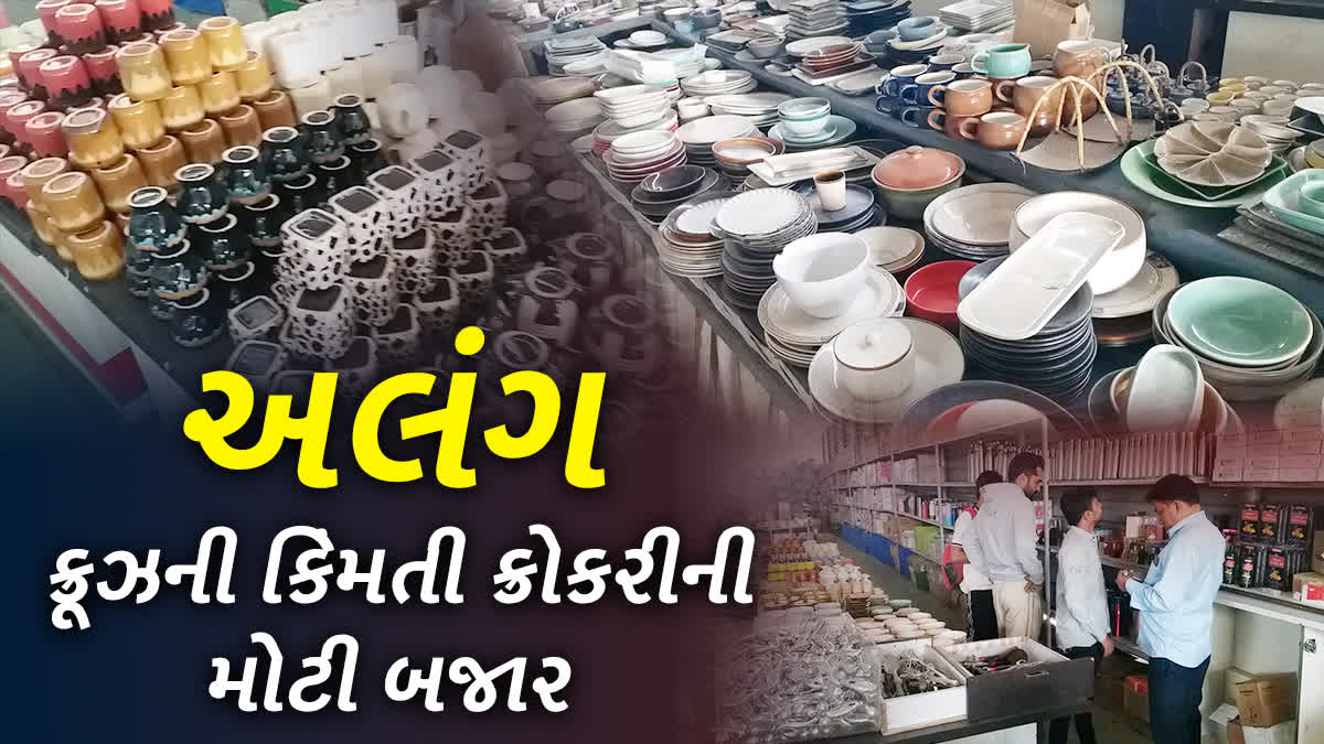 લોકલ ભાવમાં મળે છે લક્ઝરી ક્રૂઝ કિચન ક્રોકરી