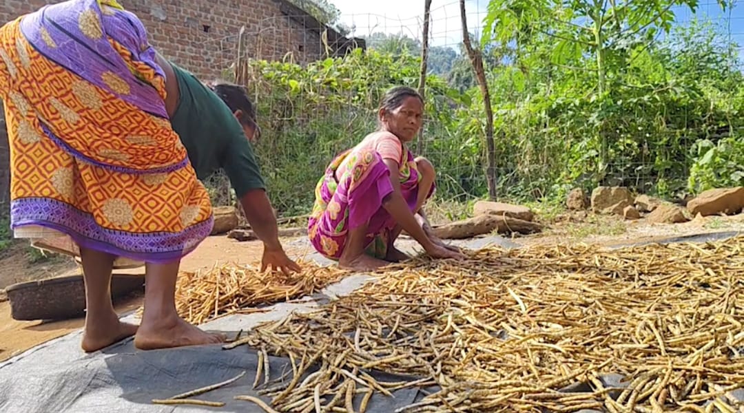 A Day In Mandipanka, The Odisha Village Silenced By Tragedy