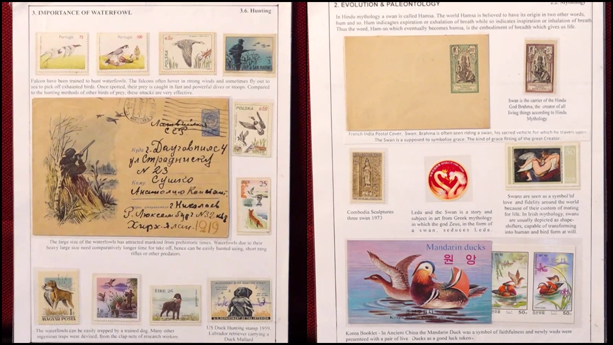 Stamp collection of Daniel Monteiro