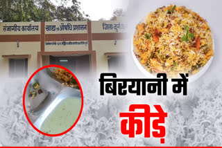 INSECTS IN BIRYANI IN BHILAI