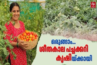 COOL SEASON VEGETABLE CULTIVATION  VEGETABLE CULTIVATION AT HOME  ശീതകാല പച്ചക്കറി കൃഷി  VEGETABLE CULTIVATION STEPS