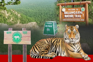 Guru Ghasidas Tamor Pingla tiger reserve