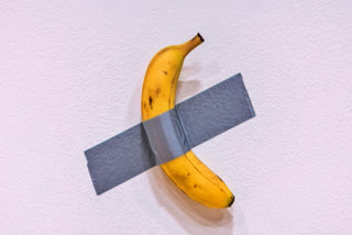 A piece of conceptual art consisting of a simple banana, duct-taped to a wall, sold for $6.2 million (Rs 549073206.50 at today's exchange rate) at an auction in New York on Wednesday, with the winning bid coming from a prominent cryptocurrency entrepreneur.