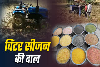 SHAHDOL PULSES CULTIVATION