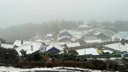 Snowfall in Sandakphu