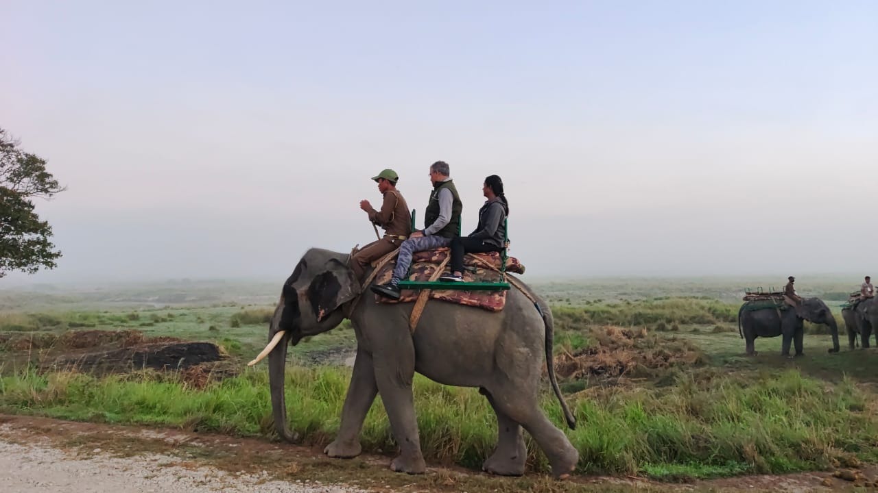 Tourism Mart at Kaziranga