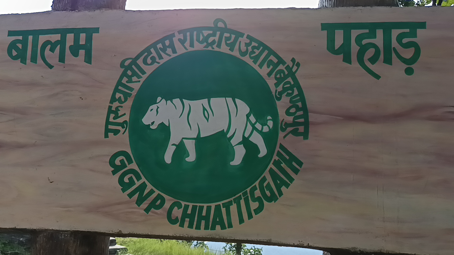 Guru Ghasidas Tamor Pingla tiger reserve