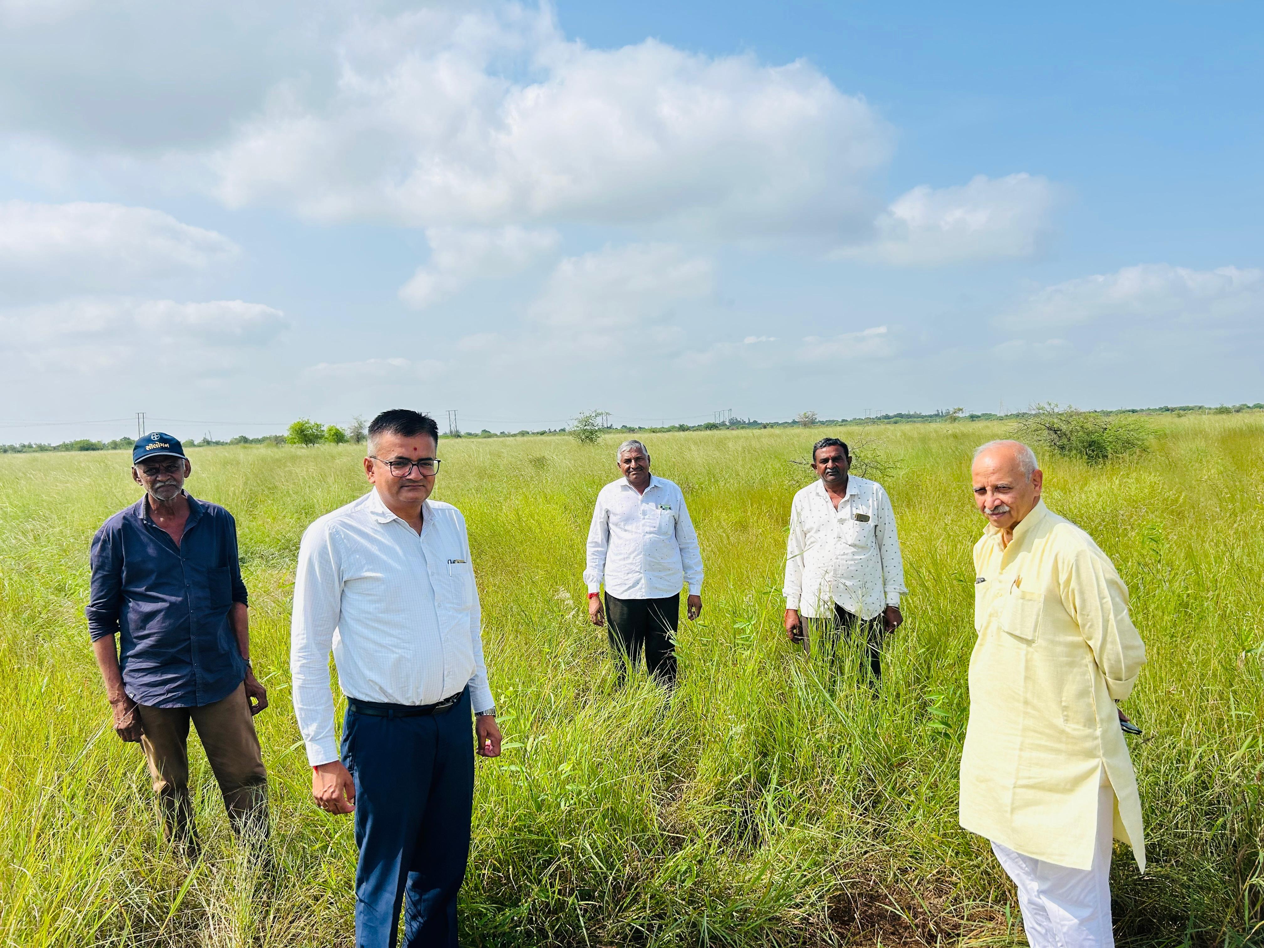 ગૌચર માટે 200 એકર જમીન ફાળવી