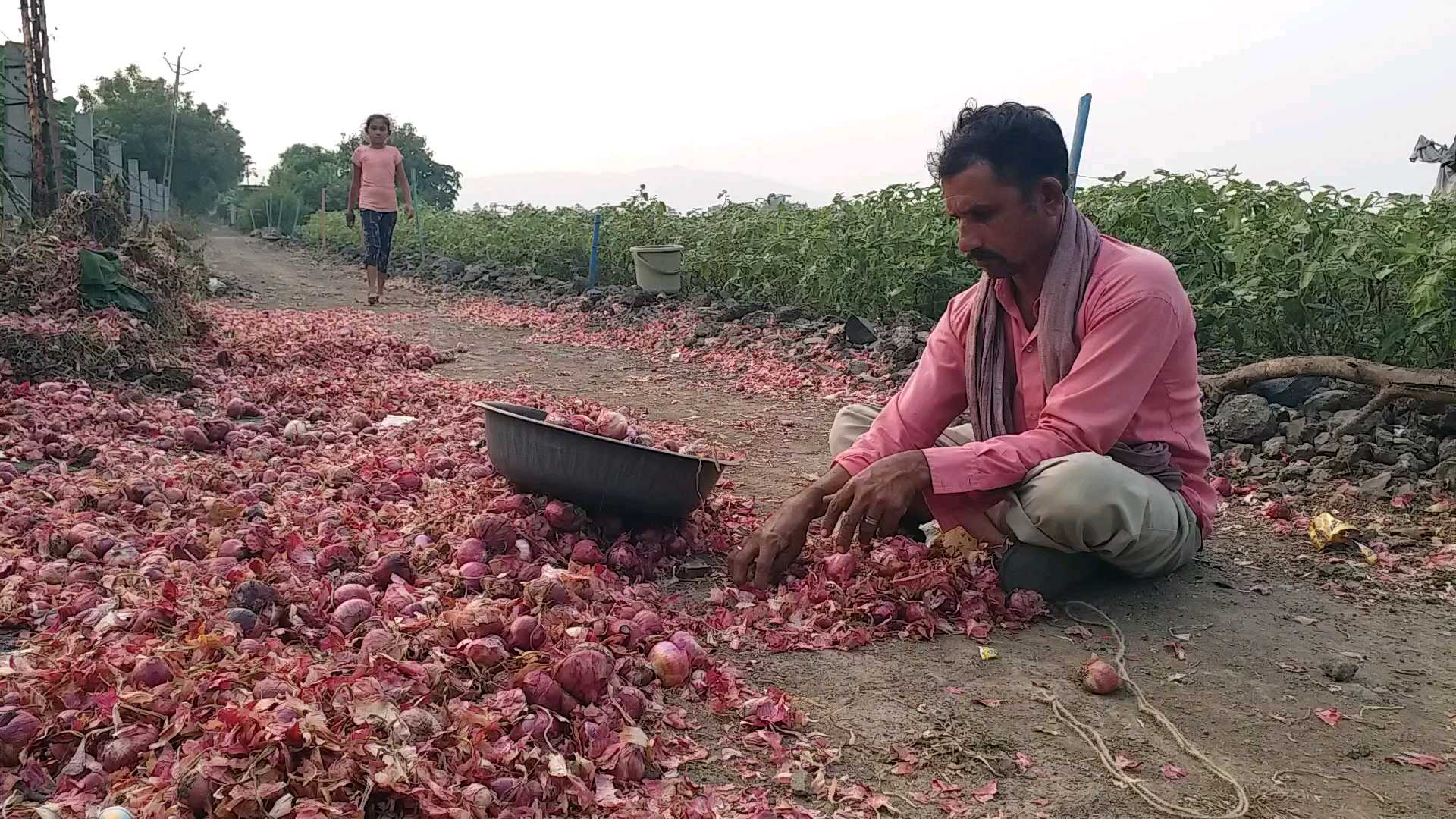 ભાવનગર યાર્ડમાં ડુંગળીના ભાવ કેટલો છે, જાણો