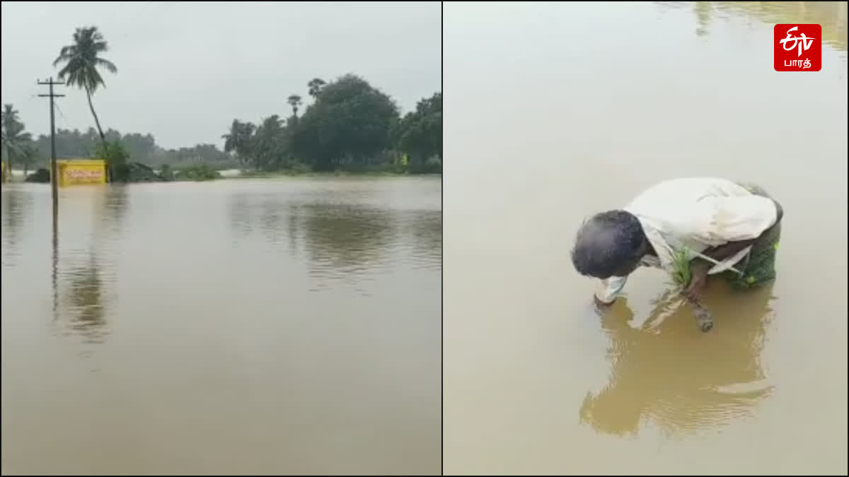 tirunelveli flood