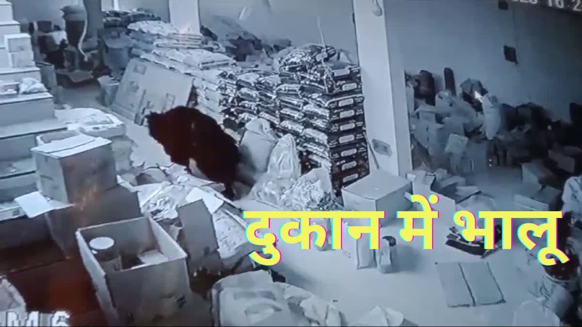 Bear entered shop in Kanker