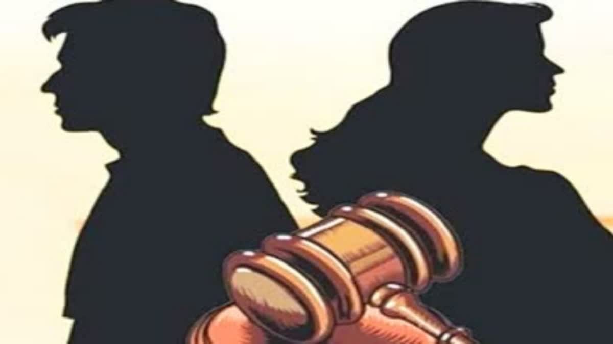 pune strange divorce case husband demand return african parrot for divorce to wife